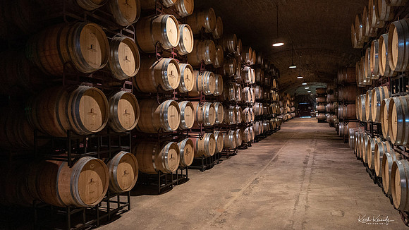Herdade do Esporão Winery, Reguengos de Monsaraz - Alentejo