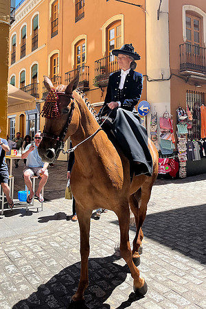 Equestrian at Barrio Santa Cruz, Seville